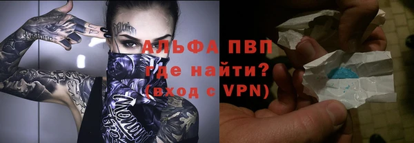 индика Майский