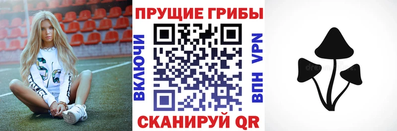 закладка  Камень-на-Оби  Псилоцибиновые грибы GOLDEN TEACHER 