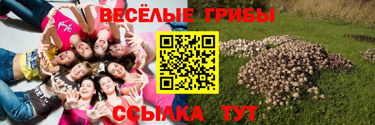 A-PVP  Метамфетамин  Плюхи  Купить наркоту  Вход с VPN  Гашиш  Камень-на-Оби  МЕФ  МАРИХУАНА 