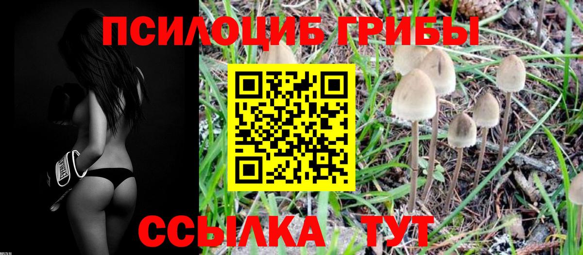 Галлюциногенные грибы мицелий Камень-на-Оби