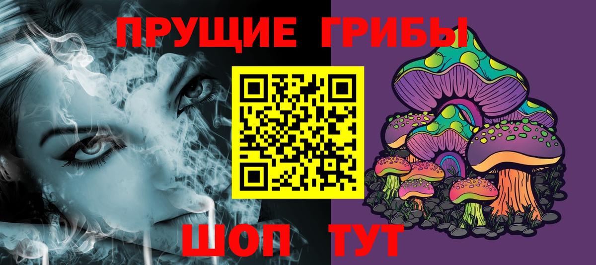 Камень-на-Оби  Галлюциногенные грибы Psilocybine cubensis  Вход с VPN  Галлюциногенные грибы прущие грибы 