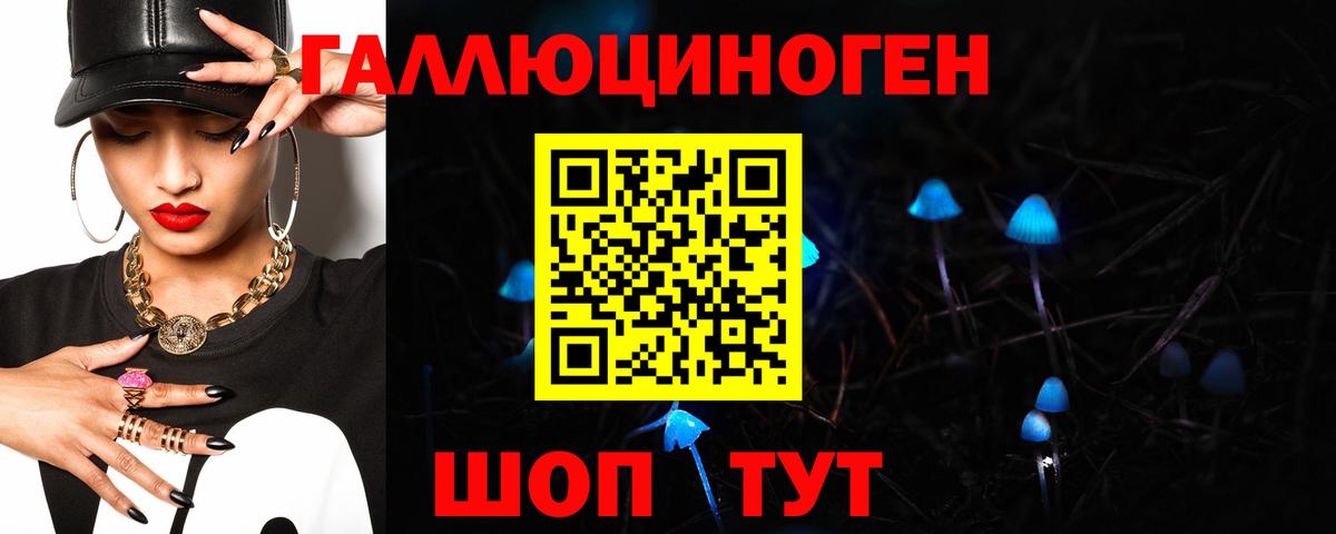 Псилоцибиновые грибы мицелий  Камень-на-Оби 